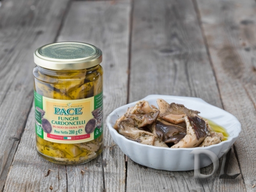 FUNGHI CARDONCELLI-4524675