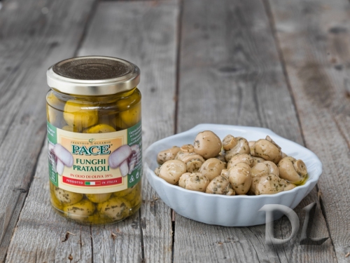 FUNGHI PRATAIOLI-4524673