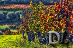 MG_3198_HDR